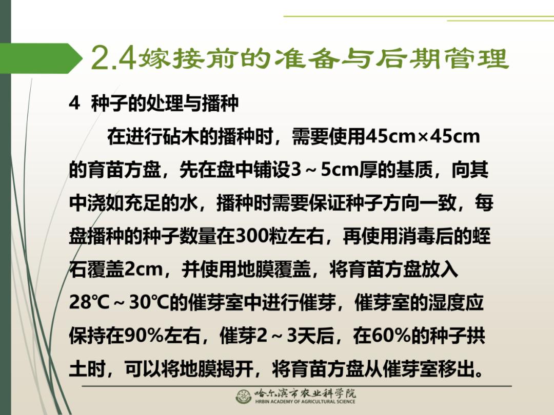 揭秘最准一码一肖100%噢的实用释义与现实解读